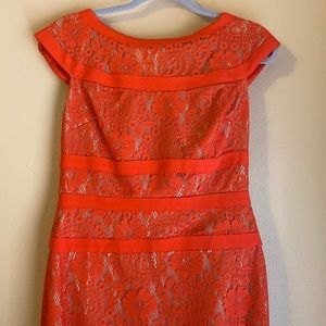 Adrianna Papell mid length fitted dress